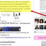 2013-01-10_2213-Pam_Perry_guest_blog.png