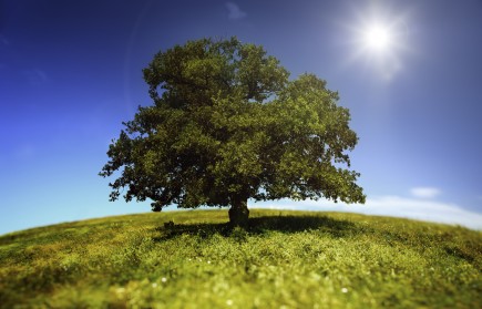 All things...In His Season